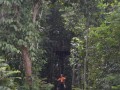 Tn DSC 4318